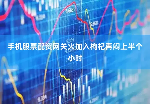 手机股票配资网关火加入枸杞再闷上半个小时