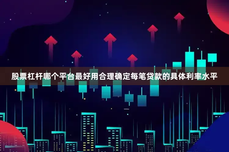 股票杠杆哪个平台最好用合理确定每笔贷款的具体利率水平